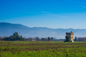 San Giuliano Terme