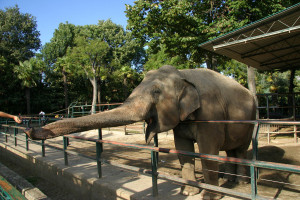 Zoo di Pistoia